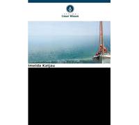 Faktoren, die die Akzeptanz der Verwendung von Verhütungsmitteln unter Jugendlichen behindern: Eine Studie über den Bezirk Outjo in Namibia