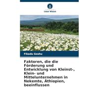 Faktoren, die die Förderung und Entwicklung von Kleinst-, Klein- und Mittelunternehmen in Nekemte, Äthiopien, beeinflussen