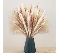 Falafoty Decoración de Pampas Grass Secas, Ramos de Flores Secas Naturales con Flores Secas de Cola de Conejito, Hierba de Pampa Esponjosas Decoracion Boho para Bodas Fiesta Rústica Jarrones (60PCS)