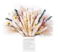 Falafoty Decoración de Pampas Grass Secas, Ramos de Flores Secas Naturales con Flores Secas de Cola de Conejito, Hierba de Pampa Esponjosas Decoracion Boho para Bodas Fiesta Rústica Jarrones (100PCS)