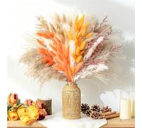 Falafoty Decoración de Pampas Grass Secas, Ramos de Flores Secas Naturales con Flores Secas de Cola de Conejito, Hierba de Pampa Esponjosas Decoracion Boho para Bodas Fiesta Rústica Jarrones (64PCS)