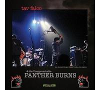 Falco,Tav & Panther Burns - Administrator Blues/Real Cool Trash [Vinilo]