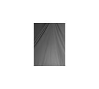 Falcon Eyes - Lienzo Trasero bCP 03 (2,9 x 5 m), Color Gris