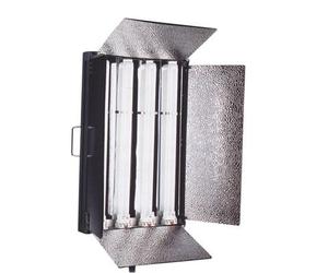 Falcon Eyes Luz diurna LÃ¡mpara DFL-554 4 x 55W