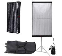 Falcon Eyes RX-48TDX - Foco de 300 W con luz LED de alta potencia, 3000K-5600K, luz de fotografia bicolor con rejilla de panal y luz de salida continua flexible para disparo (RX-48TDX+RX-48TDXSBHC)