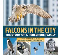 Falcons in the City: The Story of a Peregine Family