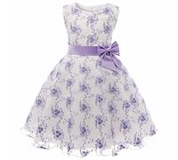 Falda de princesa bordada Encaje Vestido de rendimiento de encaje Vestido de de Navidad Vestido de dama de honor para niñas de flores Vestidos largos para desfile de bodas de tul (B, 2-3 Years)