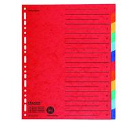 Falken Paquete de 20 separadores de cartón de gran ancho para DIN A4 + 24 x 30 cm de altura completa con impresión organizativa, 12 piezas a todo color para archivar fundas y folletos