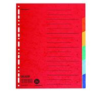 Falken Separadores de cartón para DIN A4, 24 x 29,7 cm, altura completa con impresión organizativa (6 piezas)