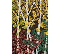 Fall Leaves in the Ravine Journal