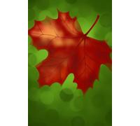 Fall maple leaf Notebook: Journal with pretty original art cover for anyone who wants to record their ideas and plans this season