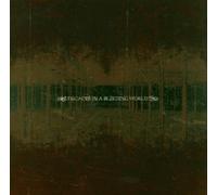 Fall of a Season - Decades in a Bleeding World