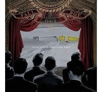 Fall Out Boy From Under the Cork Tree (Vinyl) 12" Album (Importación USA)