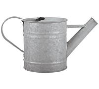 Fallen Fruits 0,75 litro Viejo Zinc regadera