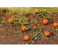 Faller 181258-6 Plantas de Calabaza, Accesorios para el Modelo de ferrocarril, construcción de maquetas
