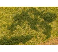 Faller 181623 - Lámina para Hojas, Color Verde Oscuro - Calibre H0, TT, N, Z