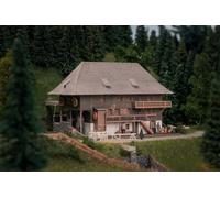 Faller 232012 - Modelo de Aniversario Öhlermühle con Figura - Calibre N