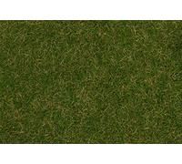 Faller- Pradera de Verano (4 mm, 1 kg), Color Blanco. (170257)