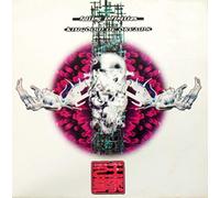 Falling Infinities - Kingdom of Dreams [Import] [Vinilo]