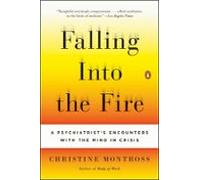 Falling Into The Fire (ebook)