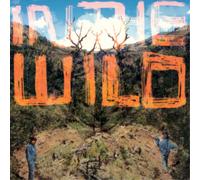 FaltyDL In the Wild (Vinyl) 12" Album (Importación USA)