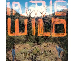 FaltyDL In the Wild (Vinyl) 12" Album (Importación USA)