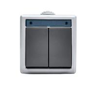 FAMATEL - Doble interruptor | Enchufe de empotrar | Serie Aquant 55 | IP55 | A prueba de agua | Fácil de instalar | Aluminio | Gris