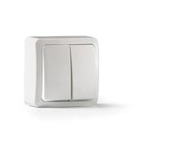 Famatel Doble Interruptor Superficie 10a-250v