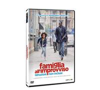 Famiglia All'Improvviso - Istruzioni Non Incluse [Italia] [DVD]