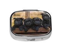 Familia Affenpinscher Cachorros Perros Negros Mono, Pastillero cuadrado para bolsillo o monedero, pequeño contenedor de pastillas, organizador de pastillas de viaje