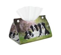 Familia de Border Collie, Funda para Caja de pañuelos con Cierre, Reutilizable, Decorativa para baño, Sala de Estar, Dormitorio, Oficina y Coche.