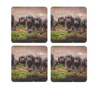 Familia de Cachorros de Labrador, Cachorros Marrones pequeños,Posavasos Cuadrados de Corcho MDF, Almohadilla para Tazas, Juego de 4 Posavasos para Bebidas
