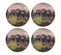 Familia de Cachorros de Labrador, Cachorros Marrones pequeños,Posavasos Redondos de Corcho MDF, Almohadilla para Tazas, Juego de 4 Posavasos para Bebidas