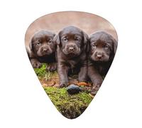 Familia de cachorros de labrador, cachorros pequeños marrones,12 púas de guitarra, 3 grosores diferentes para guitarra acústica, bajo y ukelele
