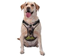Familia de Cachorros de Labrador, Cachorros pequeños Marrones,Arnés para Mascotas, arnés Reflectante Ajustable para Perros,M