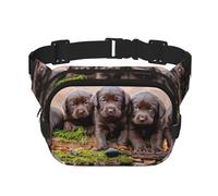 Familia de Cachorros de Labrador, Cachorros pequeños Marrones,Riñonera Cuadrada de Doble Capa, Bolso de Viaje, Bolso Informal para el Pecho.
