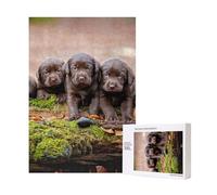 Familia de cachorros de labrador marrones (300 piezas) Rompecabezas de madera para adultos y familias.