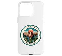 Familia de Fuentes Mount Rainer National Park Washington Carcasa para iPhone 15 Pro MAX