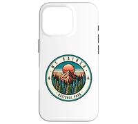 Familia de Fuentes Mount Rainer National Park Washington Carcasa para iPhone 16 Pro