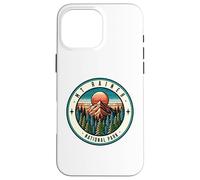 Familia de Fuentes Mount Rainer National Park Washington Carcasa para iPhone 16 Pro MAX