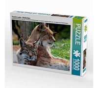 Familia de Luchs - Amor de la Madre 1000 Piezas Puzzle Horizontal
