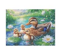 Familia de patos arroyo fauna silvestre naturaleza salvaje campo pacífica Puzzle 500 Piezas Obra De Arte 3D Realista Rompecabezas Para Hombres Y Mujeres Desafío Intelectual Estera Portátil DIY Moderno