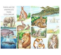 Familias de animales: Animales adultos con sus crías para colorear - Un libro realista para compartir en familia
