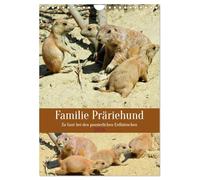 Familie Präriehund (Wandkalender 2026 DIN A4 hoch), CALVENDO Monatskalender: Zu Gast bei den possierlichen Erdhörnchen