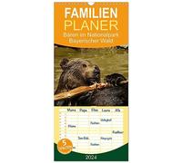 Familienplaner 2024 - Bären im Nationalpark Bayerischer Wald mit 5 Spalten (Wandkalender, 21 cm x 45 cm) CALVENDO