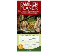 Familienplaner 2024 - Der Luchs - Begegnungen mit einer Raubkatze mit 5 Spalten (Wandkalender, 21 cm x 45 cm) CALVENDO