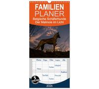Familienplaner 2026 - Belgische Schäferhunde - Der Malinois im Licht mit 5 Spalten (Wandkalender, 21 x 45 cm) CALVENDO: Stimmungsvolle Momente mit dem Malinois, dem kurzhaarigen Belgischen Schäferhund