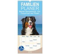 Familienplaner 2026 - Berner Sennenhund - Ein Freund auf vier Pfoten mit 5 Spalten (Wandkalender, 21 x 45 cm) CALVENDO: Er ist traumhaft schön, wenn ... 13 wundervolle Bilder dieser Traumhunde.