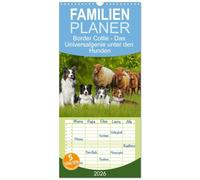Familienplaner 2026 - Border Collie - Das Universalgenie unter den Hunden mit 5 Spalten (Wandkalender, 21 x 45 cm) CALVENDO: Auf 13 faszinierend ... Sigrid Starick den Allrounder der Hundewelt.
