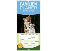Familienplaner 2026 - Border Collies 2026 mit 5 Spalten (Wandkalender, 21 x 45 cm) CALVENDO: Ein Kalender der die bunte Vielfalt der beliebten Hütehunde präsentiert
